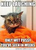 funny-wet-pussy-cat-angry-weeks-pics.jpg