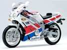 Yamaha FZR600 89.  1.jpg