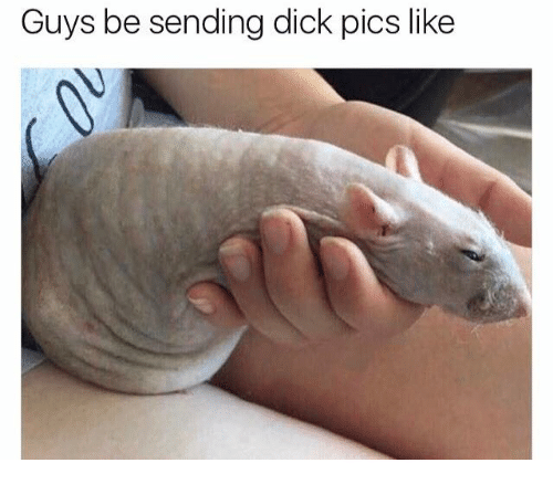 guys-be-sending-dick-pics-like-13241805.png