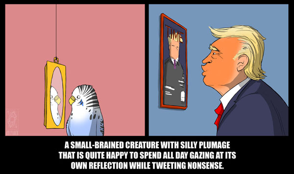 Trump_Budgie_2017_Small.jpg