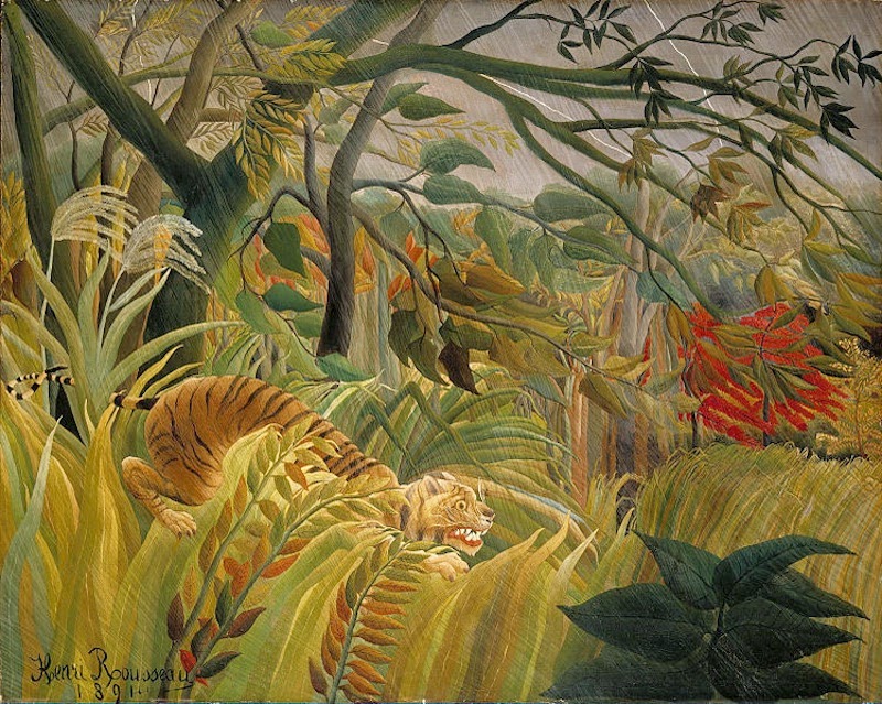 Henry-Rousseau+-+1891+-+Tiger+Surprised.jpg